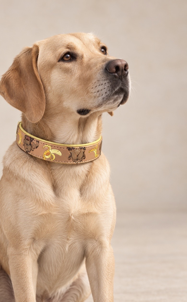 Halsband FUNKY MONKEY – Bild 20