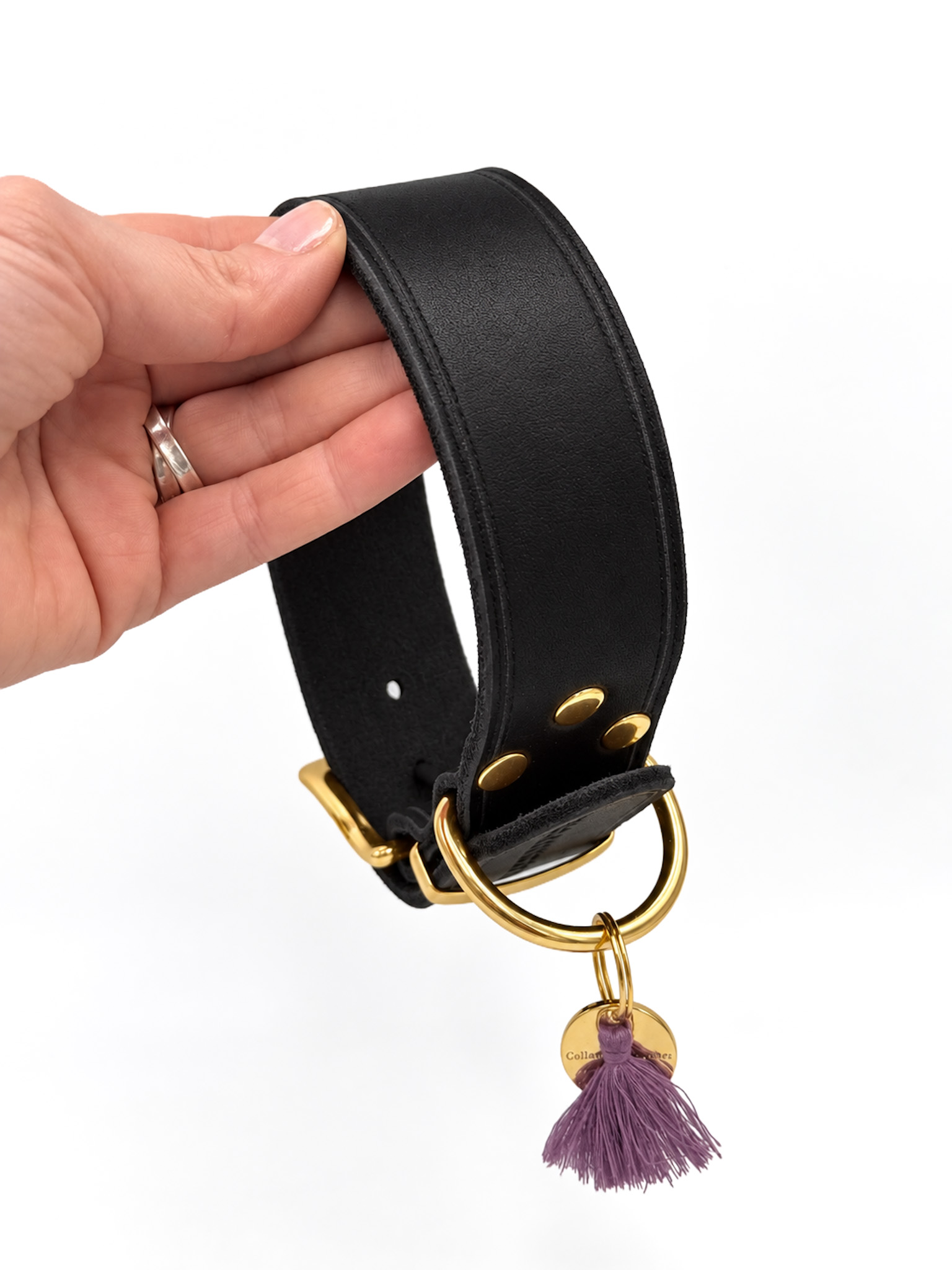 Halsband BASIC – Bild 13