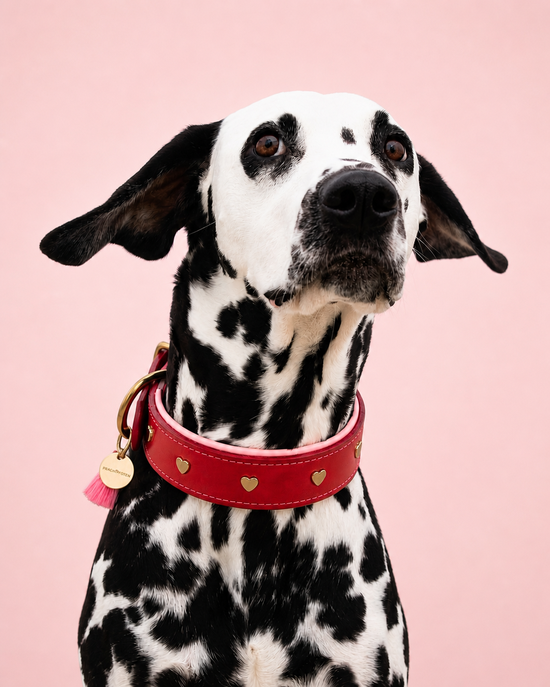Halsband HEART TIMES – Bild 5