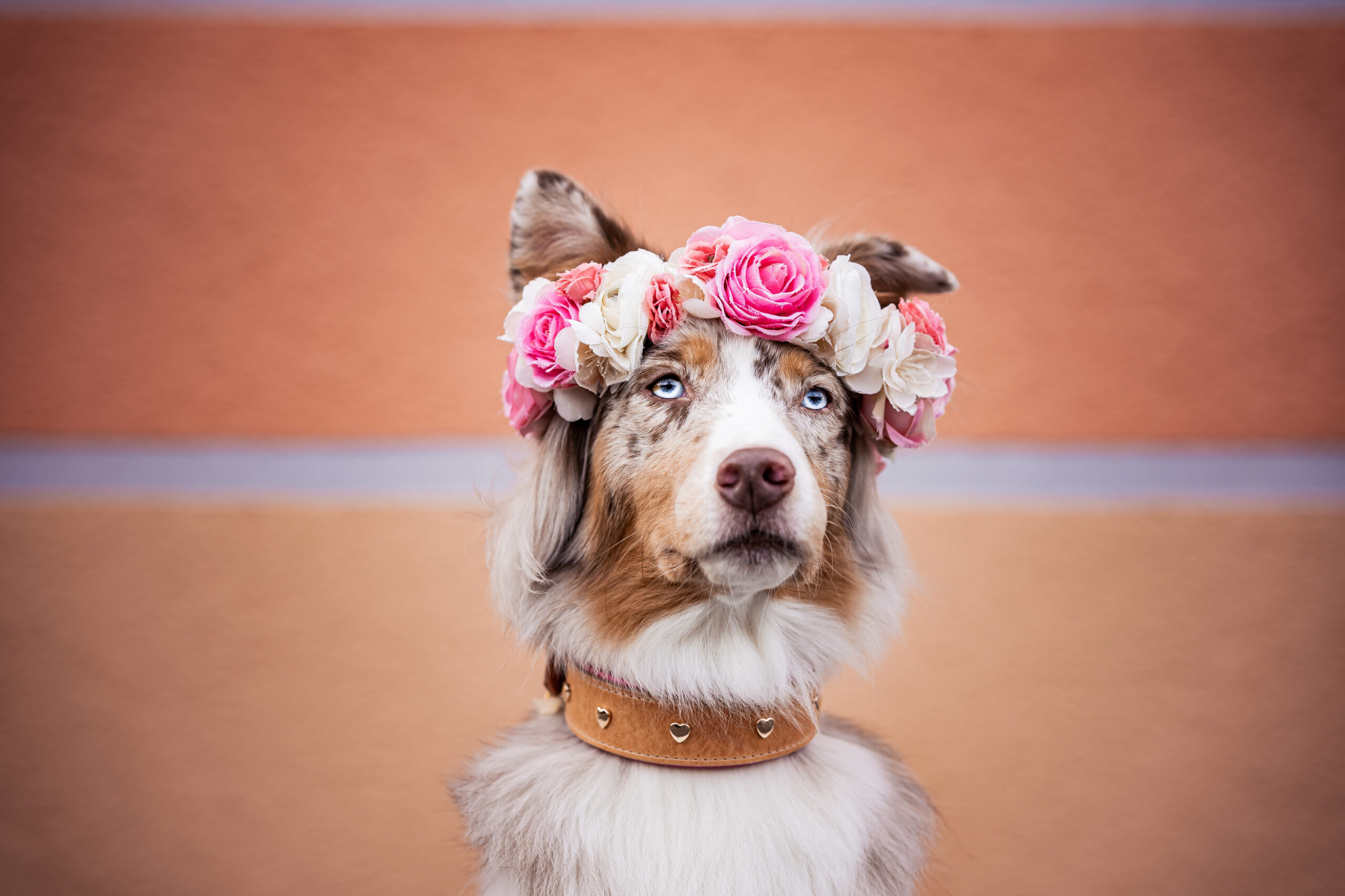 Halsband HEART TIMES – Bild 15