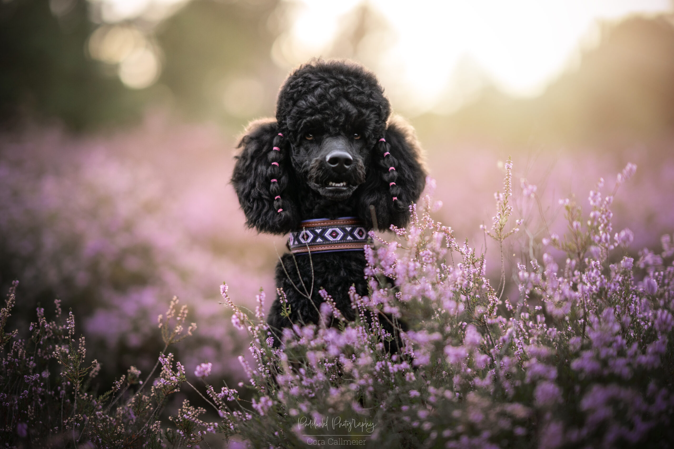 Halsband BOHO – Bild 20