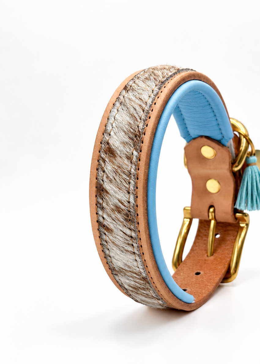 Halsband FURRY – Bild 4