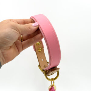 Halsband BIOTHANE | Gr. L (44-50)